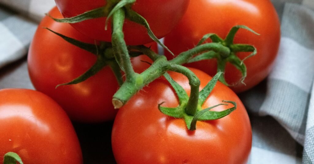Tomato plant flower