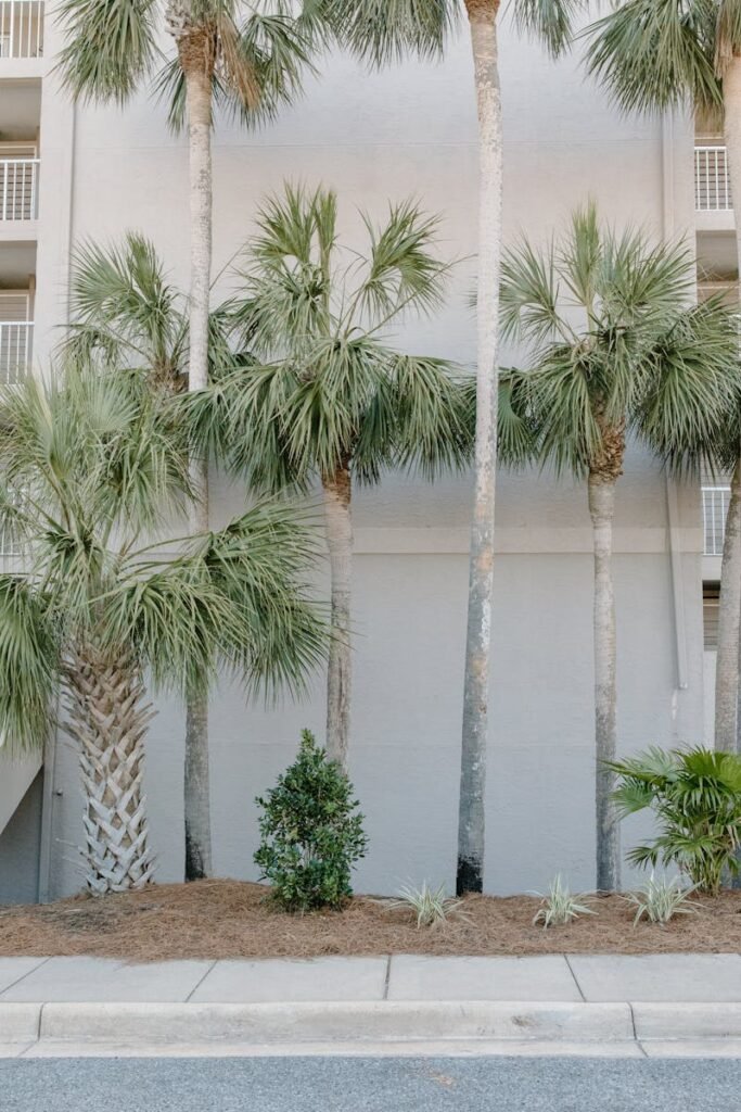 Tall palm trees line the exterior of a modern condo, creating a tropical feel.